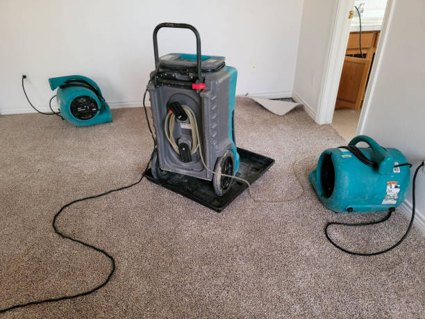 Best Water damage restoration company  in Rushville, NE