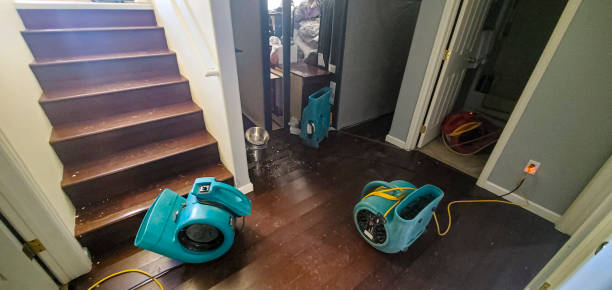 Best Water damage contractors near me  in Rushville, NE