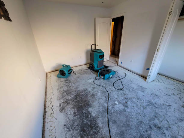 Best Water damage restoration near me  in Rushville, NE