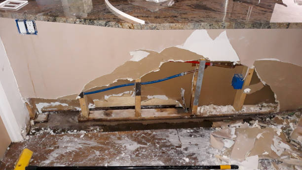 Best Flood damage cleanup  in Rushville, NE