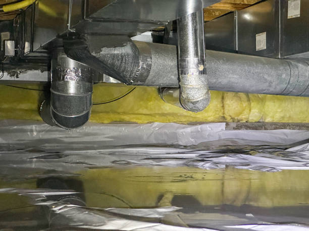 Best Carpet water damage restoration  in Rushville, NE