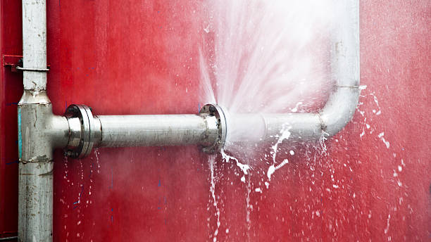 Best Water damage restoration near me  in Rushville, NE